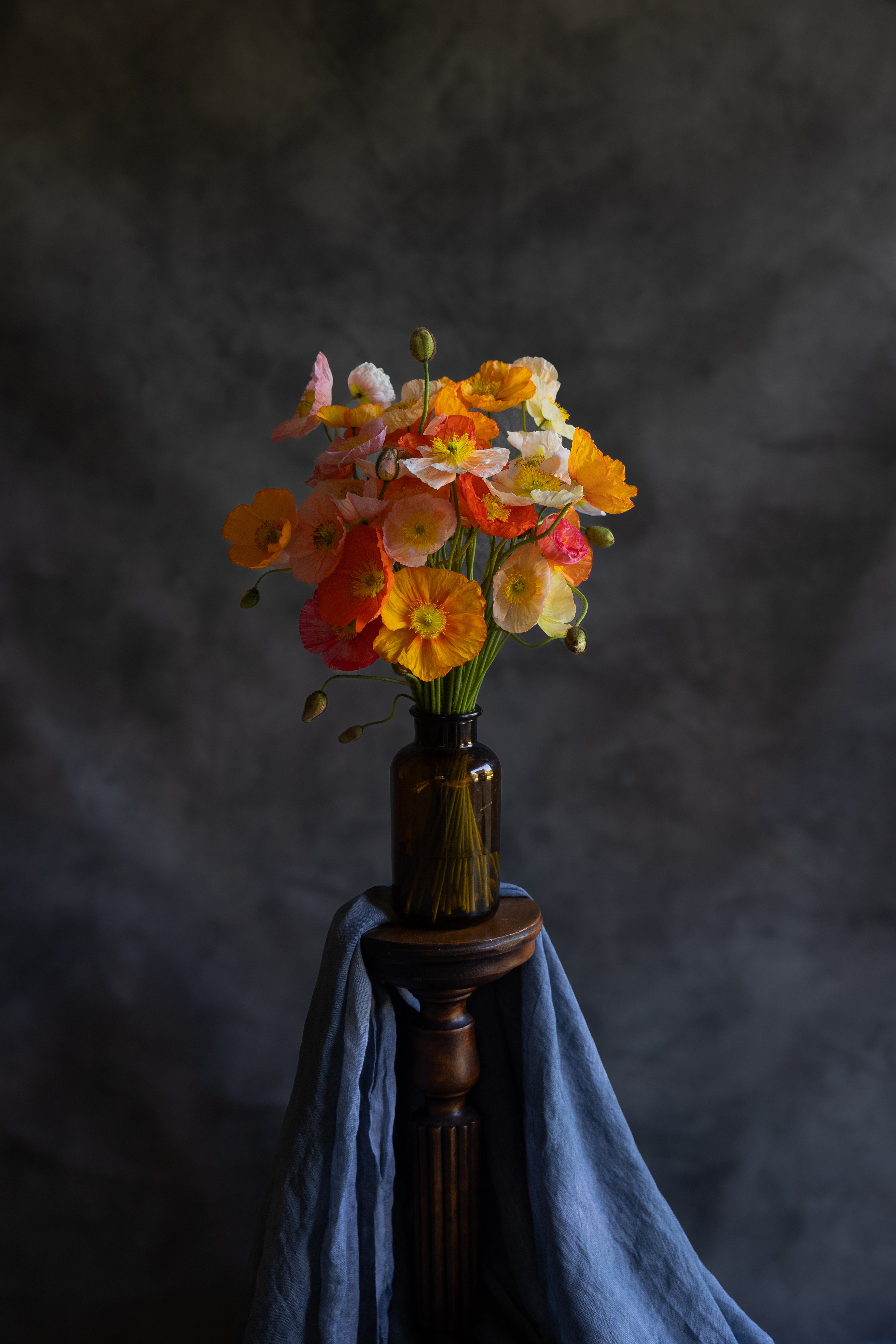 Posy of Poppies Flower Bouquet - Haven Botanical