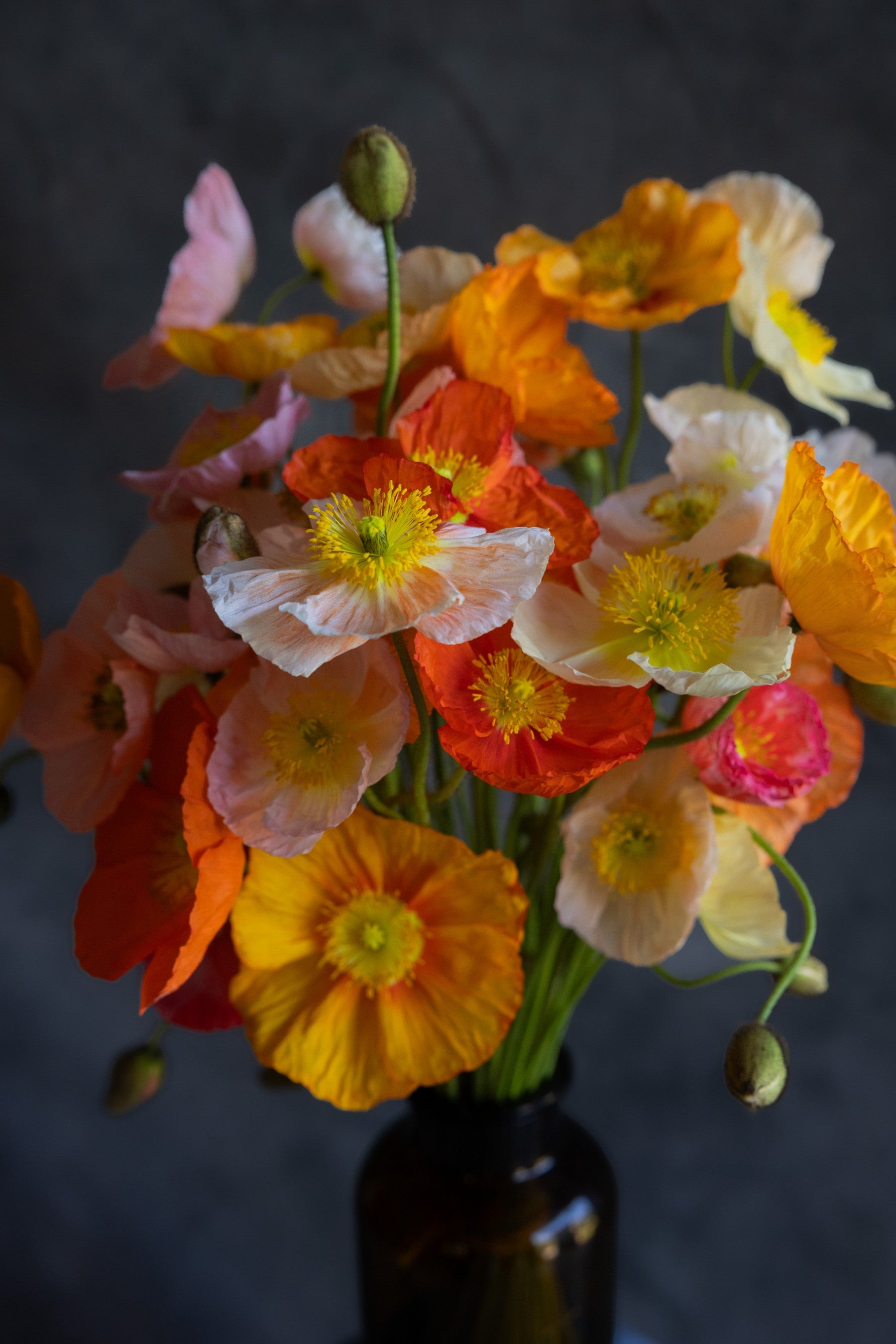 Posy of Poppies Flower Bouquet - Haven Botanical