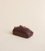 Peanut Butter Caramel Chocolate - Haven Botanical